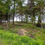 IMG_8646_Easy-Resize.com