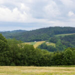 IMG_8709_Easy-Resize.com