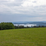 IMG_8744_Easy-Resize.com