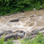 IMG_8883_Easy-Resize.com