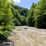 IMG_8963_Easy-Resize.com