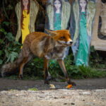 IMG_9053_Easy-Resize.com