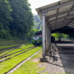 IMG_9076_Easy-Resize.com