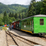 IMG_9079_Easy-Resize.com