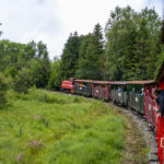 IMG_9249_Easy-Resize.com