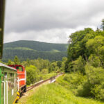 IMG_9461_Easy-Resize.com