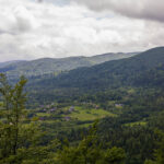 IMG_9466_Easy-Resize.com