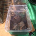 11 (25) Easy Resize.com