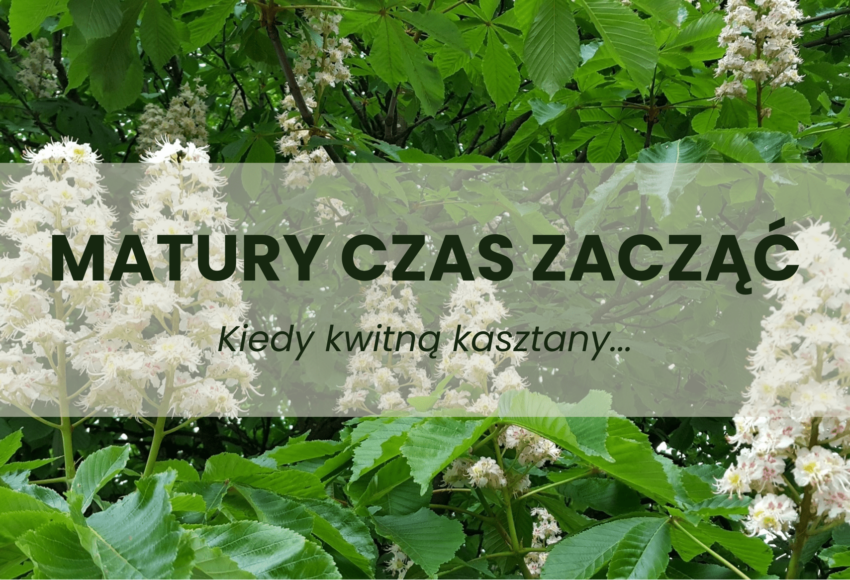 MATURY CZAS ZACZAC