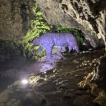 IMG 6091 Easy Resize.com