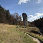 IMG 6140 Easy Resize.com