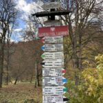 IMG 6155 Easy Resize.com