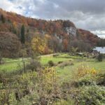 IMG 6161 Easy Resize.com