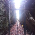 IMG 20251104 111220 Easy Resize.com