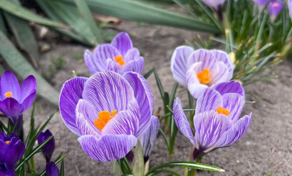 1775607773534 Easy Resize.com