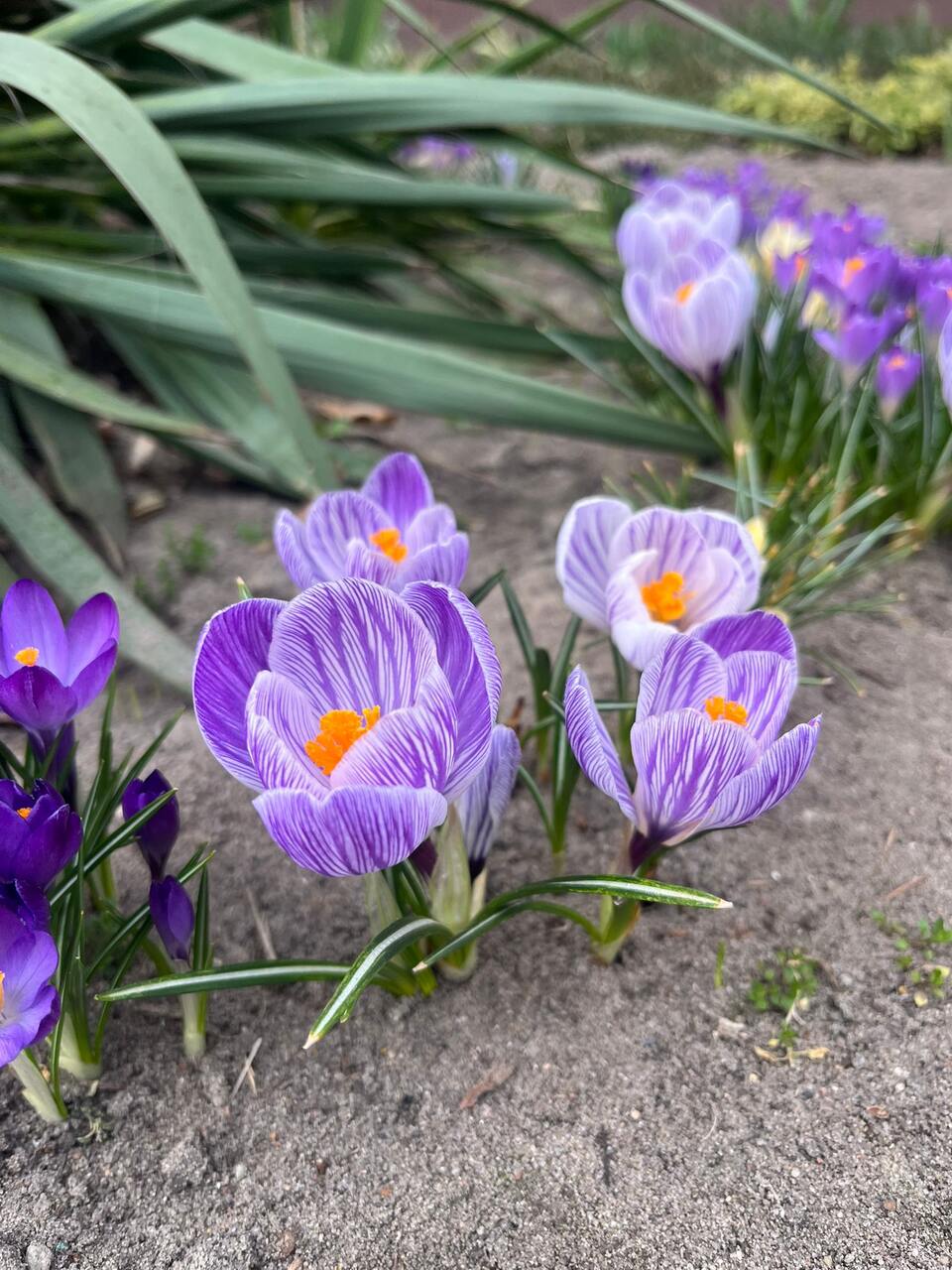 1775607773534 Easy Resize.com