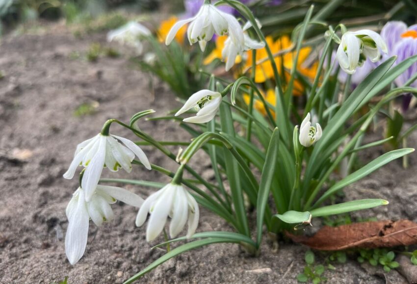 1775607773551 Easy Resize.com